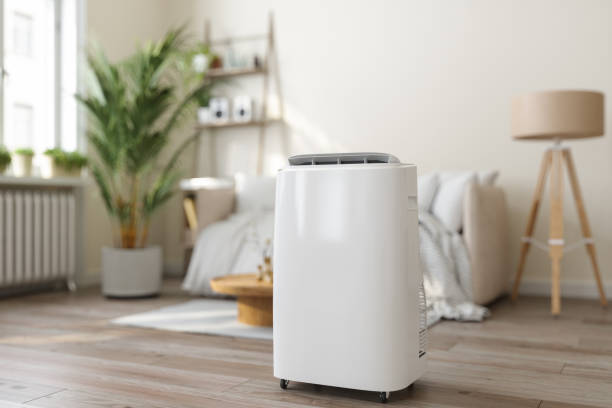 Best HVAC maintenance near me  in Foresthill, CA